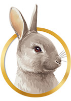 Долина кролика: логотип бренда